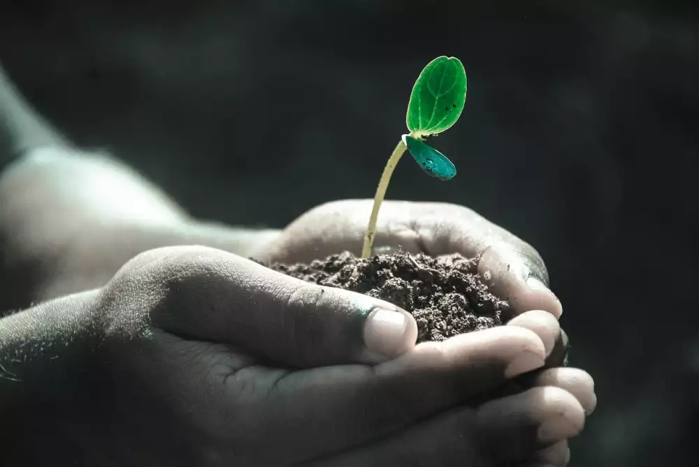 Fit Life Doubravka