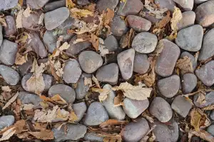 Od Kotva